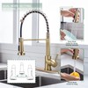 WEWE Brushed Gold Kitchen Faucet with Pull Down Sprayer, RV