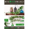MedianField 【 観葉植物 アイビー 1本 】 壁掛け インテリア アンティーク 雑貨