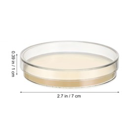 Veemoon 10pcs Agar Petri Dishes, Prepoured Petri Dishes Science Kit Science Projects Supplies for Mushrooms, Interest Cultivation Experiments (7cm)