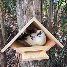 DIY Wooden Bird Nesting Box - Bird Houses for Outside, Small Nesting Box for Mourning Doves and Other Small Birds, Durable Pine Wood, by Decoribles