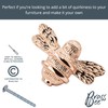 Brass bee 2 x Solid Drawer Knob Handles | Drawer