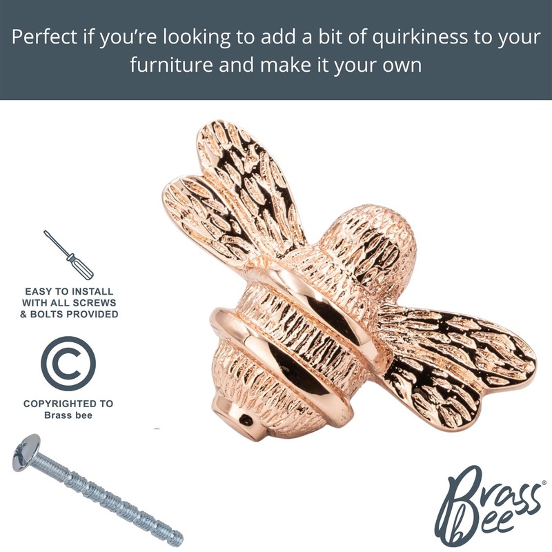 Brass bee 2 x Solid Drawer Knob Handles | Drawer