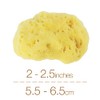 IntimateCare Sea Sponges. Mediterranean Sea Sponges in Plastic Free Packaging.