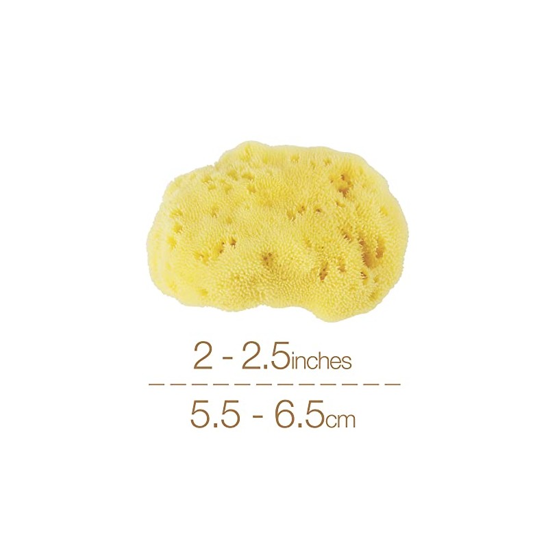 IntimateCare Sea Sponges. Mediterranean Sea Sponges in Plastic Free Packaging.