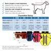 CoyoteVest Dog Harness Protection Vest, Reflective Dog Accessories with Spikes