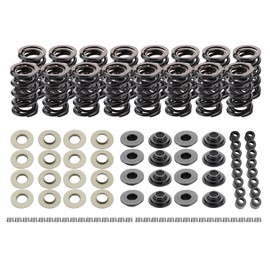 ISINFLASH LS .660" Dual Valve Spring Platinum Kit with Retainers Fit for 15 Degree LS Heads LS1 LS2 LS3 LS4 LS6 L76 L92 L99 LQ4 LQ9 L33 LSA 4.8L 5.3L 6.0L 6.2L SK001 (Steel)