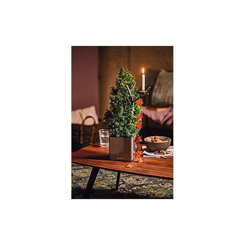 LECHUZA Cube Glossy 14 High-Quality Plant Cubes with Stick Irrigation