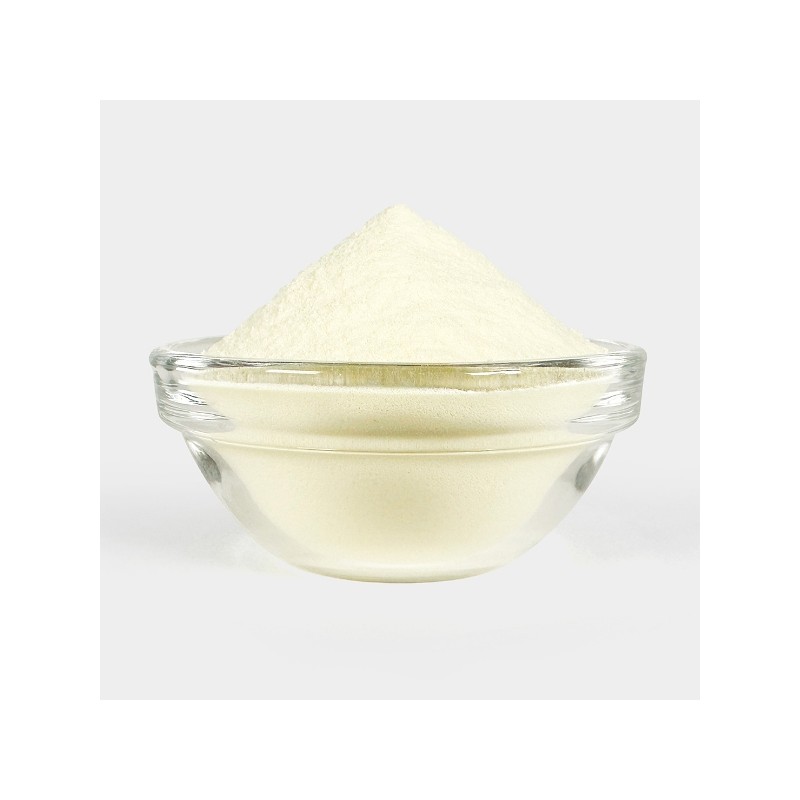 오허브 유청분말, 1kg, 2개 Oh Herb Whey Powder, 1kg, Pack