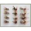 Sedge Trout Flies, 12 Pack Elk,Deer Hair & G & H Sedge, Mixed Sizes, Fly Fishing (10/12)