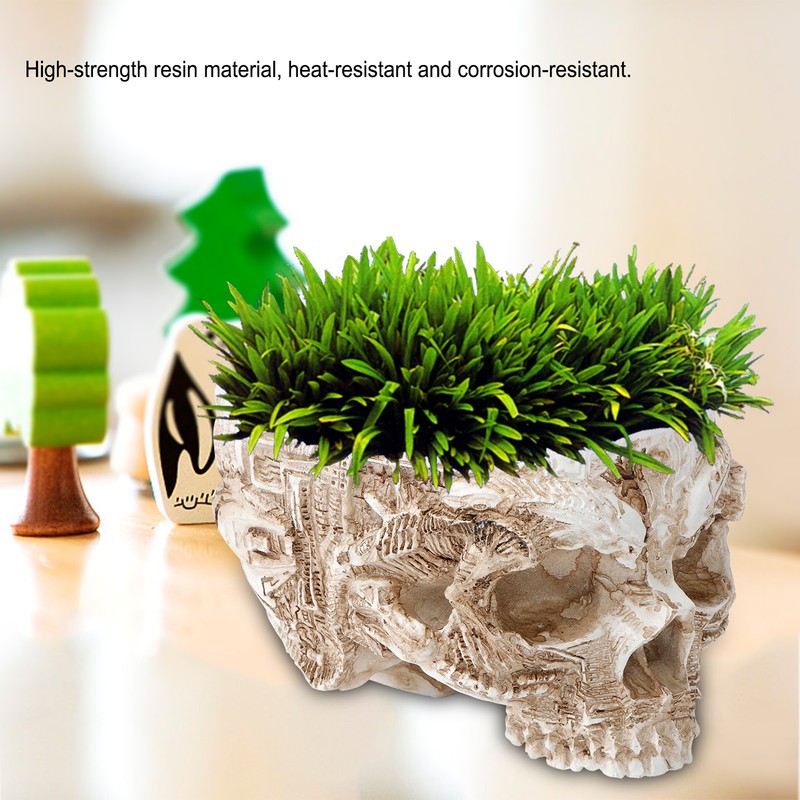 Innovative Resin Skull shaped Flower Pot Succulent Planter Holder Ornament