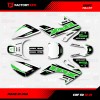 Factory EFX White & Green Shift Racing Graphics kit Fits
