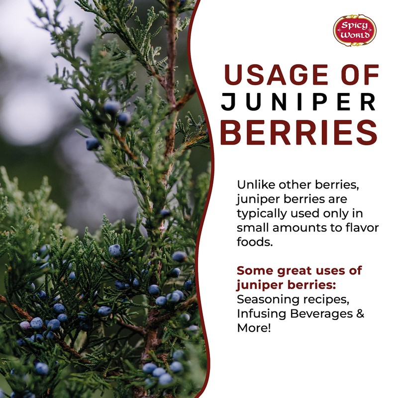 Spicy World Juniper Berries Whole 14 Ounce Bag- Pure -