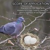 WEZCHUGHAOL 10 Fake Bird Eggs, Pigeons That Have Stopped Laying,