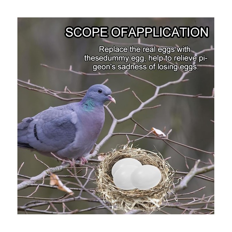 WEZCHUGHAOL 10 Fake Bird Eggs, Pigeons That Have Stopped Laying,