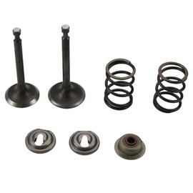 HAUERTZX Racing 26lb Valve Springs Retainer and Lock for Predator 196cc 212cc 224cc Non Himi 5.5HP 6.5HP Honda GX200 GX160 OHV Clone Engine Mini Bike Powerhorse 208cc Tillotson Go Kart (26LB)