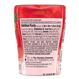 ALL NEW FLAVOR! Fruit Punch Ice Breakers Ice Cubes, 40 Pieces, 1 Per Order