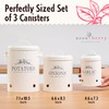 noonberry Potato and Onion Storage Bin, Garlic Storage, Set of