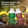 VIVOSUN Supply Box for VGrow Smart Grow Box