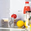 Wessper 2x Natürlicher Geruchsneutralisierer für den Kühlschrank, Geruchsentferner Luftentfeuchter |
