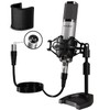 PROAR Studio Microphone, Professional Cardioid XLR Condenser Recording Mic Voice