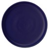 Rikizo R-886533 Plate, Blue, Indigo, Diameter 9.4 inches (24 cm)