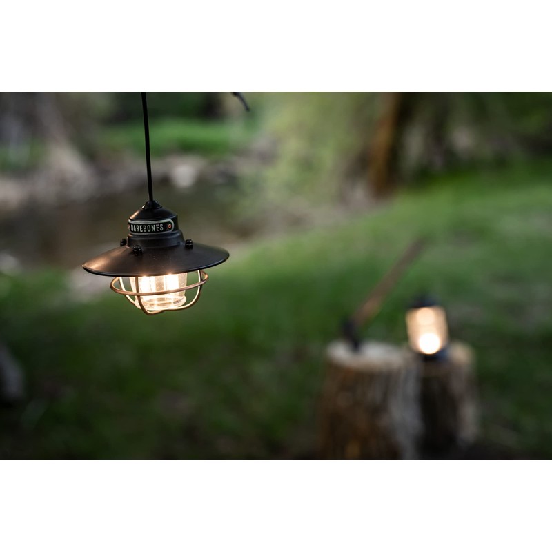 Barebones Living LED Edison Pendant Light
