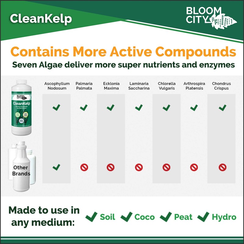 Bloom City Organic Liquid Seaweed and Kelp Fertilizer Supplement (128