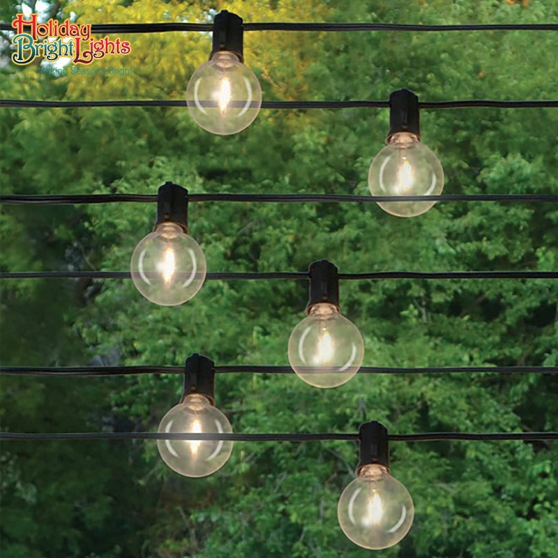 Holiday Bright Lights G40 LED Replacement Bulbs Warm White Dimmable