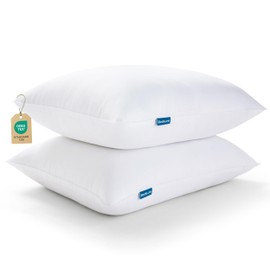 Bedsure Pillows Queen Size Set of 2 - Soft Bed Pillows for Sleeping 2 Pack, Fluffy and Supportive, Hotel Quality, Original Down Alternative Filling for Side, Back Sleepers