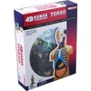 4D Vision Human Anatomy Torso Model