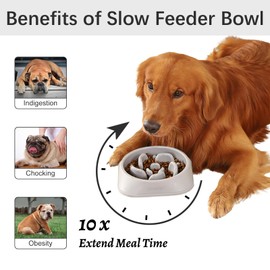 MateeyLife Slow Feeder Dog Bowls, Anti-Choking Puzzle Dog Food Bowls, Non Slip Interactive Dog Feeding Bowls Slow Down Eating, Bloat Stop Maze Dog Dishes Dog Feeder for Small Medium Large Breeds Gray