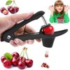 Anicy Cherry Pitter Remover Olive Corer Removal Pit Seeds Gadget