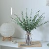 VIERENA VIERENA 17.5" Artificial Eucalyptus Stems in Glass Vase with