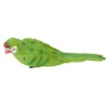 Parrot Figurine Simulation Vivid Innovative Wall Mounted Hand Painted Resin
