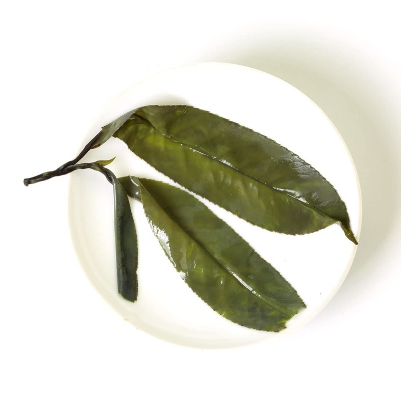 GOARTEA Needle Ku Ding Tea 2Pcs 250g / 17.6oz Premium