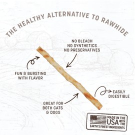 Earth Animal No-Hide Stix Beef Recipe Natural Rawhide Alternative Dog & Cat Chews | 20 Count Pack of 1