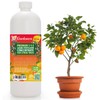 Premium Liquid Citrus Tree Plant Fertilizer - 3-1-2 Concentrate for
