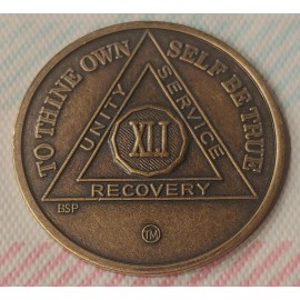 41 Year Alcoholics Anonymous AA Bronze Medallion Coin Sobriety Chip Fourty One