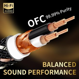 YYTCG Audiophile HiFi 3.5mm to Dual XLR Female Y Splitter Cable 4.92ft
