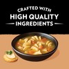 Campbell's Slow Kettle Style Roasted Chicken Noodle Soup with White