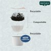 Organic Positively Tea Company, Peppermint Leaf Herbal Tea, K-Cup Compatible,