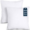 Utopia Bedding Throw Pillows Insert (Pack of 2, White) -