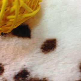 (Cow Print - 29x43inch) - Cut Cow Print Rug 1.1m x 0.8m Faux Cow Hide Rug Animal Printed Area Rug Nice Carpet for Home Decorating Kids Room 70cm W x 110cm L