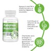 HEALTHADDICTION - Probióticos y Prebióticos Fórmula Avanzada con 4 Cepas