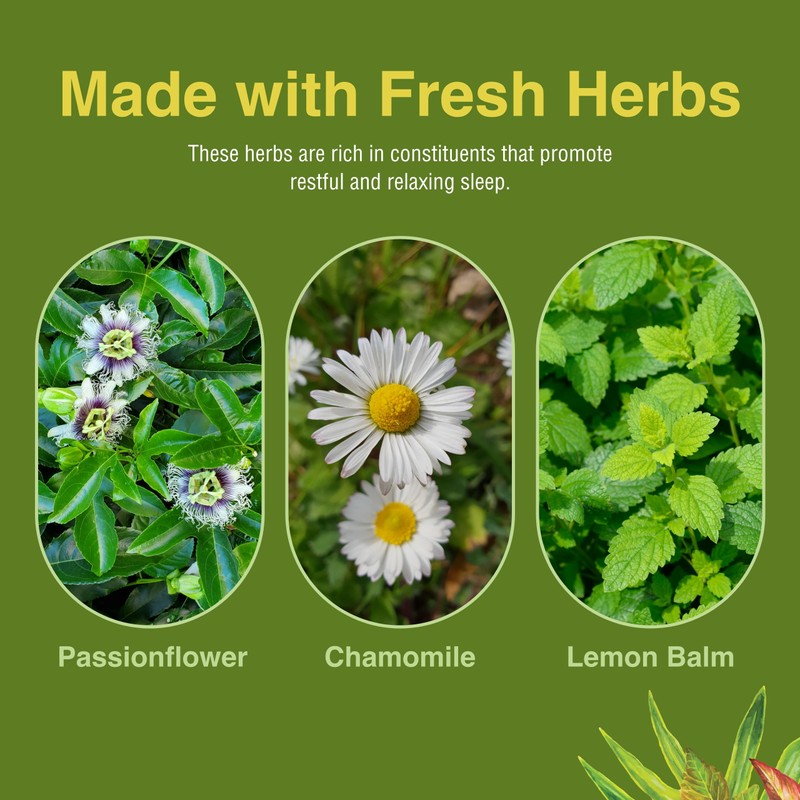 Herbs Etc. Deep Sleep Softgels - Herbal Sleep Support Supplement