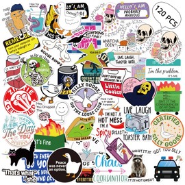 OCQOTAT 120pcs Funny Waterproof Stickers Adults Meme Prank Sarcastic Stickers Pack for Water Bottles,Laptops Decals,Phones,Hard Hats,Bumpers,Car,Gaming Consoles Scrapbooking-Vinyl Decals(2 of Each)