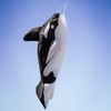 In the Breeze 5231 — Orca Big Breeze Windsock™ —