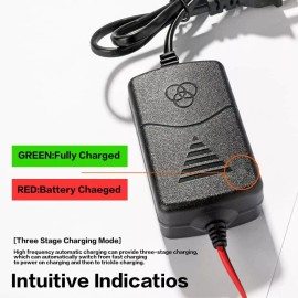 Reswish Car Battery Charger,12V Battery Charger with Crocodile Clip and Power Indicator,