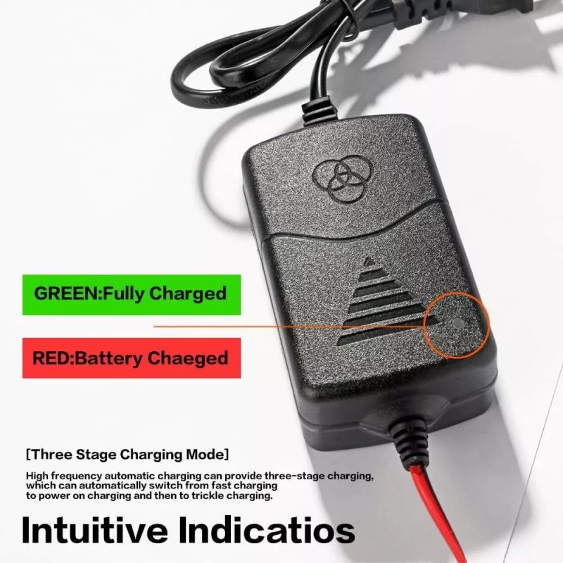 Reswish Car Battery Charger,12V Battery Charger with Crocodile Clip and