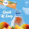 Crystal Light Peach Mango On-The-Go Powdered Drink Mix with Caffeine,
